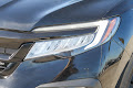 2022 Honda Pilot Black Edition